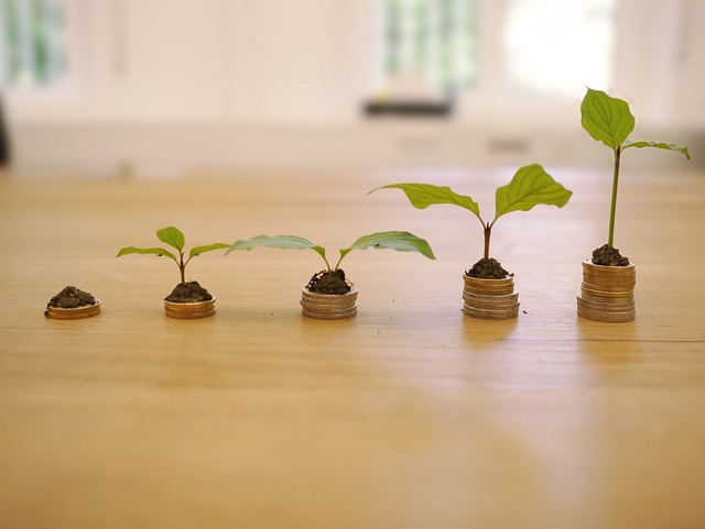 Investeren met Beperkte Middelen: Hoe Begin je?